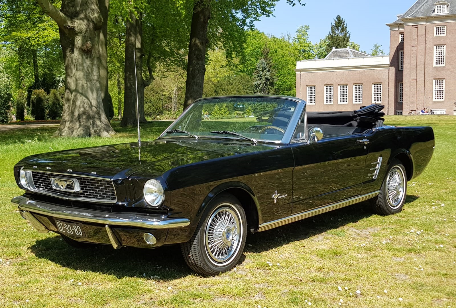 Nodig hebben Scherm uitvinden Zwarte Ford Mustang cabriolet uit 1966 - Bekijk nu snel Trouwautoshop.nl